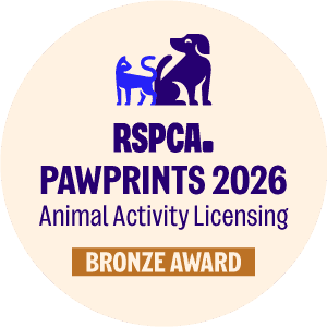 Tamworth council receives bronze RSPCA PawPrints award for animal licensing — Tamworth news photo
